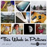 This Week in Pictures, Week 4, 2018
