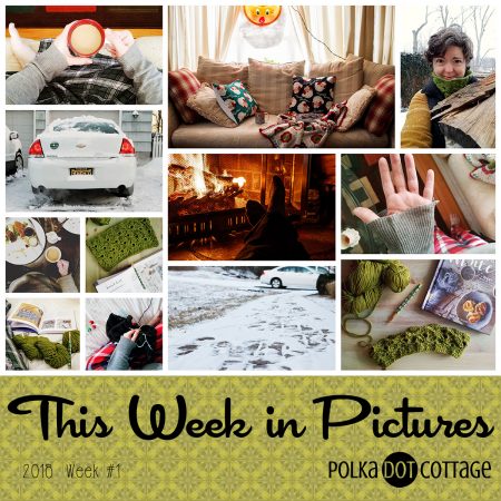 This Week in Pictures, Week 1, 2018