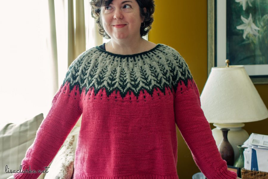 Vintersol Sweater Front