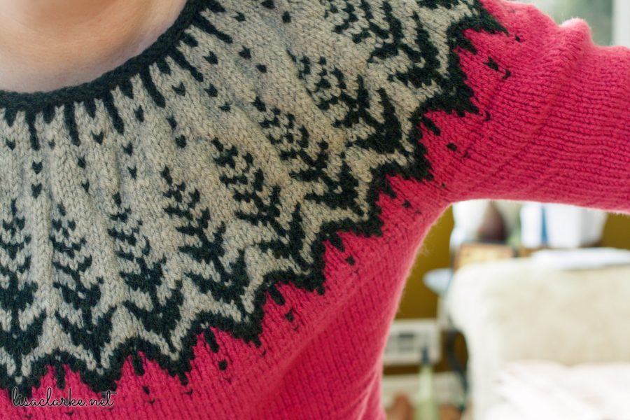 Vintersol Sweater Yoke Closeup