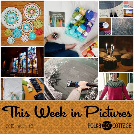 This Week in Pictures, Week 6, 2018