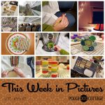 This Week in Pictures, Week 8, 2018