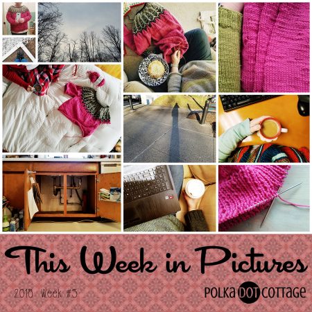 This Week in Pictures, Week 5 2018