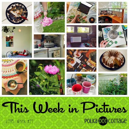 This week in Pictures, Week 21, 2018