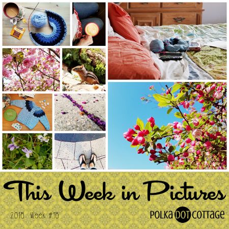 This Week in Pictures, Week 18, 2018