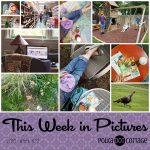 This Week in Pictures, Week 23, 2018