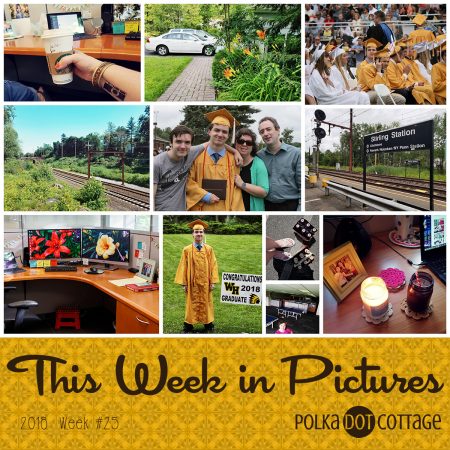 This Week in Pictures, Week 25, 2018