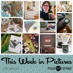 This Week in Pictures, Week 32, 2018
