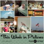 This Week in Pictures, Week 35, 2018