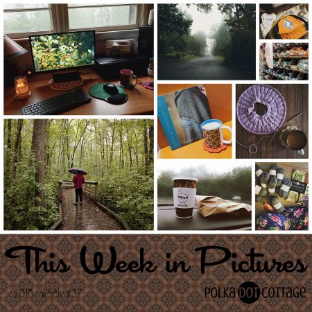 This Week in Pictures, Week 37, 2018