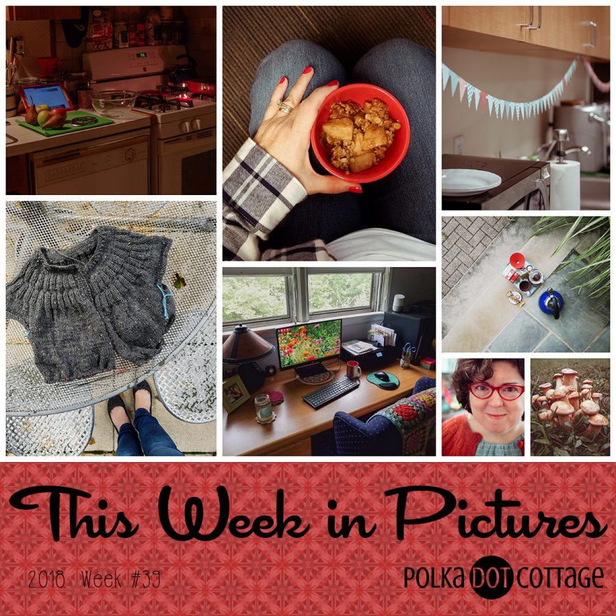 This Week in Pictures, Week 39, 2018