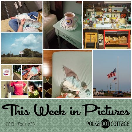 This Week in Pictures, Week 35, 2018