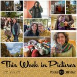 This Week in Pictures, Week 43, 2018