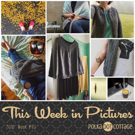 This Week in Pictures, Week 40, 2018