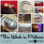 This Week in Pictures, Week 48, 2018