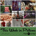This Week in Pictures, Week 52, 2018