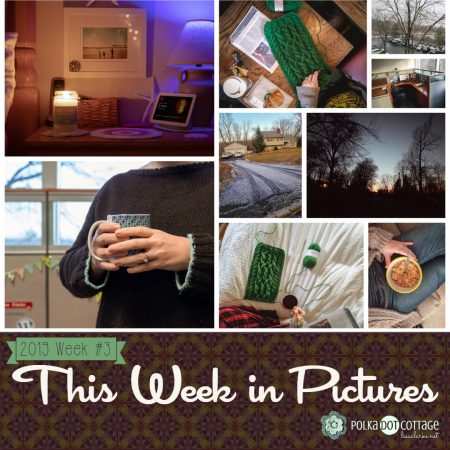 This Week in Pictures, Week 3, 2019