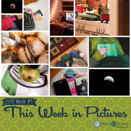 This Week in Pictures, Week 4, 2019
