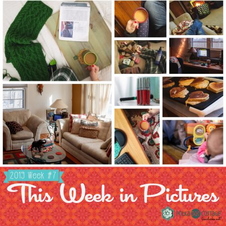 This Week in Pictures, Week 7, 2019