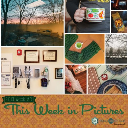This Week in Pictures, Week 5, 2019