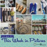 This Week in Pictures, Week 20, 2019