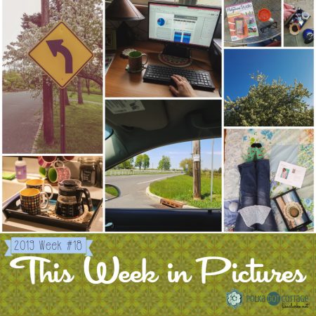 This Week in Pictures, Week 18, 2019