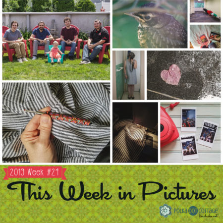 This Week in Pictures, Week 24, 2019