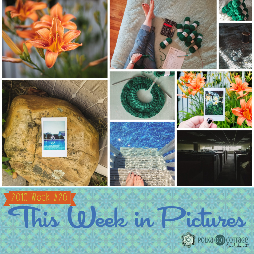 This Week in Pictures, Week 26, 2019