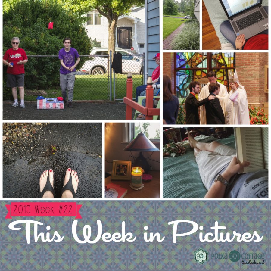 This Week in Pictures, Week 22, 2019