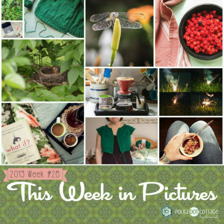 This Week in Pictures, Week 28, 2019