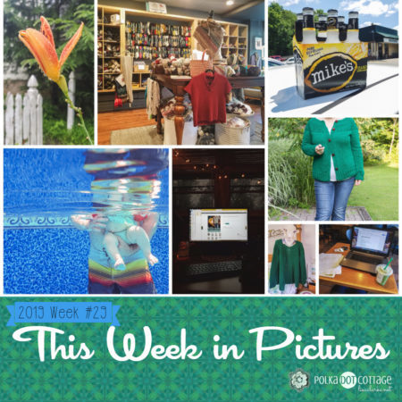 This Week in Pictures, Week 29, 2019