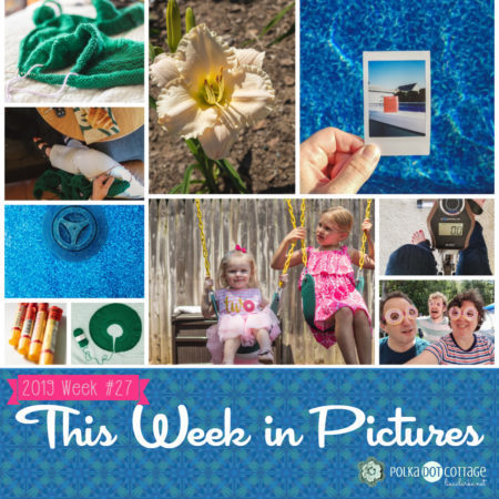 This Week in Pictures, Week 27, 2019