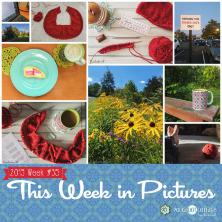 This Week in Pictures, Week 35, 2019