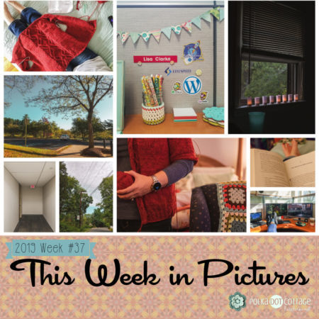 This Week in Pictures, Week 37, 2019