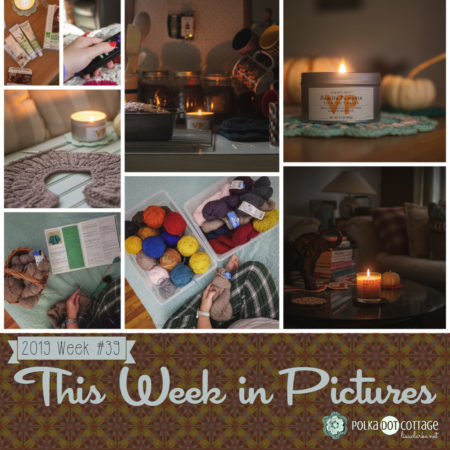 This Week in Pictures, Week 41, 2019