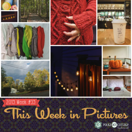 This Week in Pictures, Week 40, 2019
