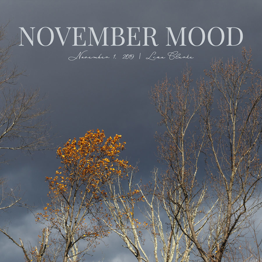 November Mood Playlist on Spotify by Polka Dot Radio