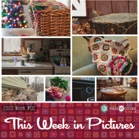 This Week in Pictures, Week 2, 2020