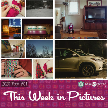 This Week in Pictures, Week 4, 2020