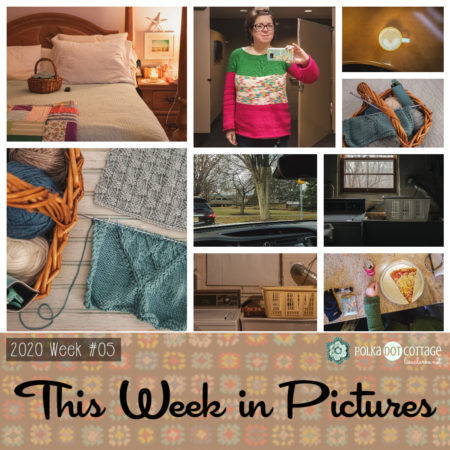 This Week in Pictures, Week 5, 2020