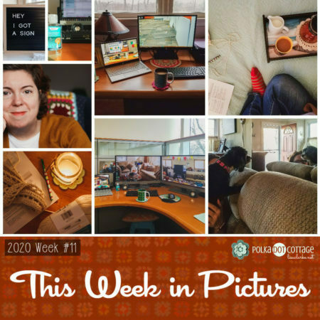 This Week in Pictures, Week 11, 2020