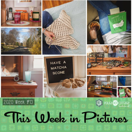 This Week in Pictures, Week 13, 2020