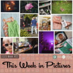 This week in Pictures, Week 22, 2020