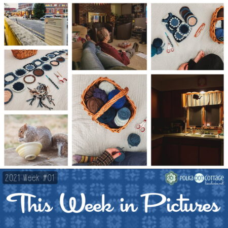 This Week in Pictures, Week 1, 2021