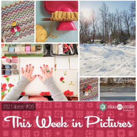 This Week in Pictures, Week 6, 2021