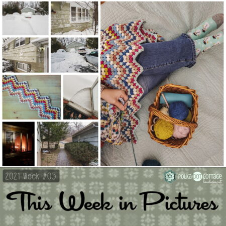 This Week in Pictures, Week 5, 2021