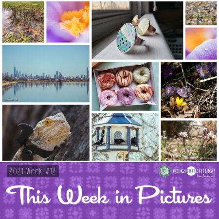 This Week in Pictures, Week 12, 2021