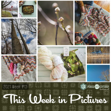 This Week in Pictures, Week 13, 2021