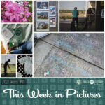 The Week in Pictures, week 18, 2021
