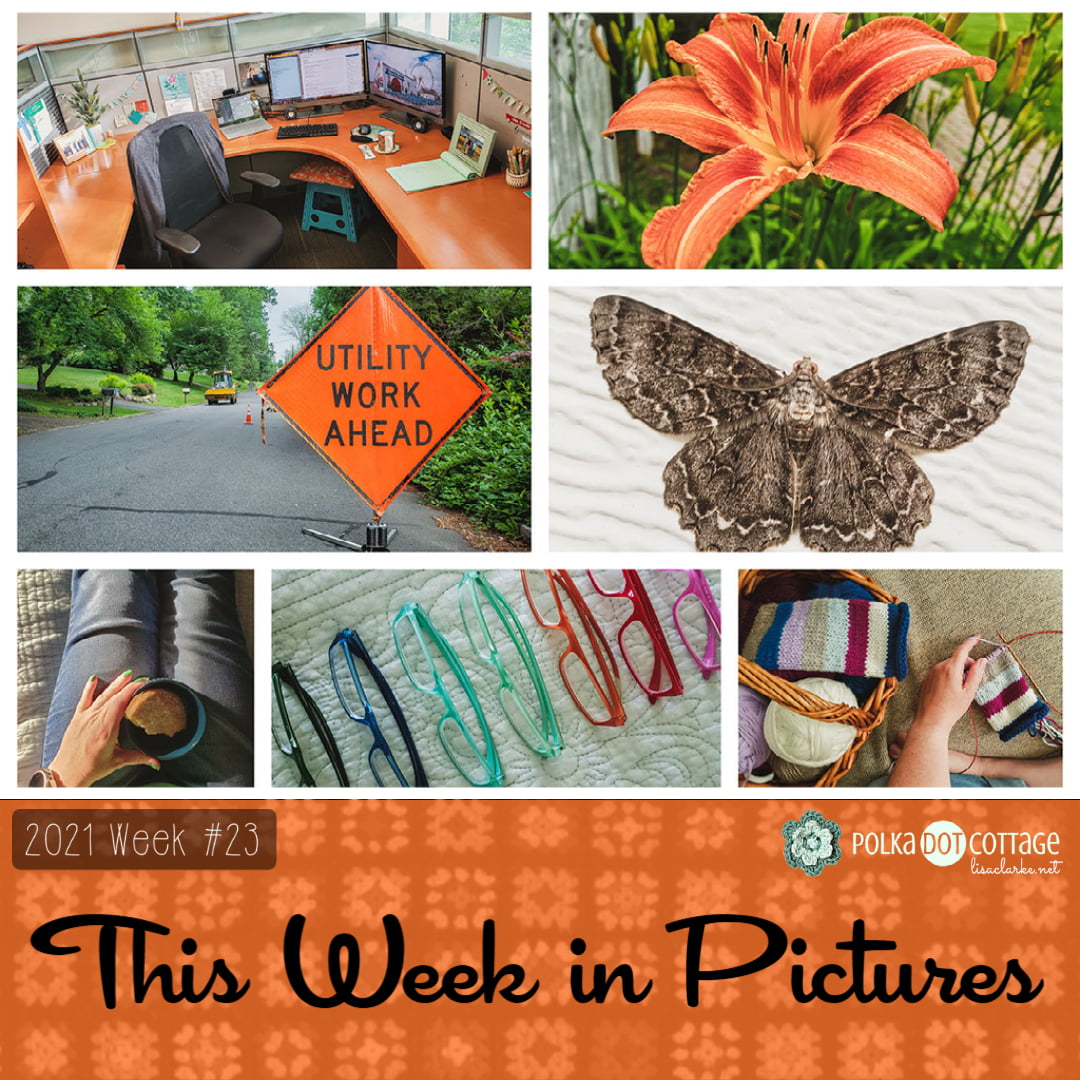 This Week in Pictures, Week 23, 2021